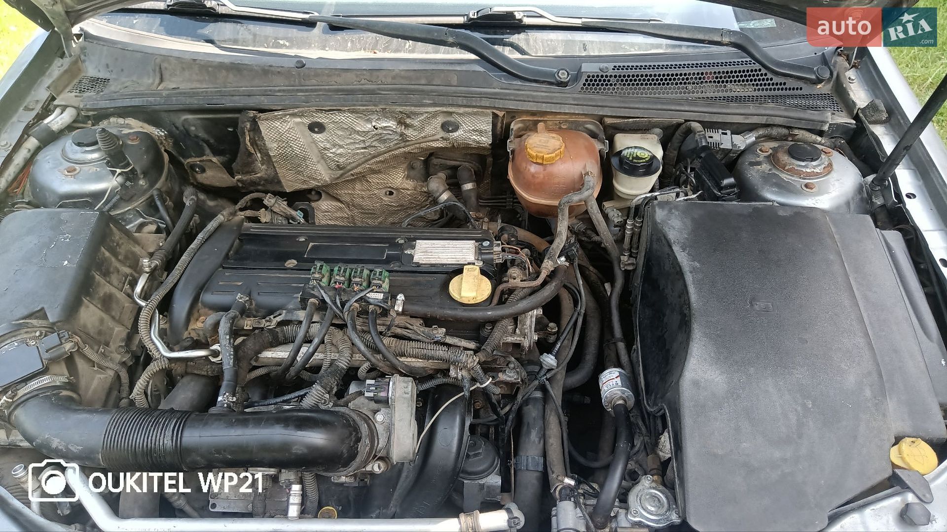 Opel Vectra 2005 VIN Y6D0ZCF6951022461 фото оголошення 5 з 5