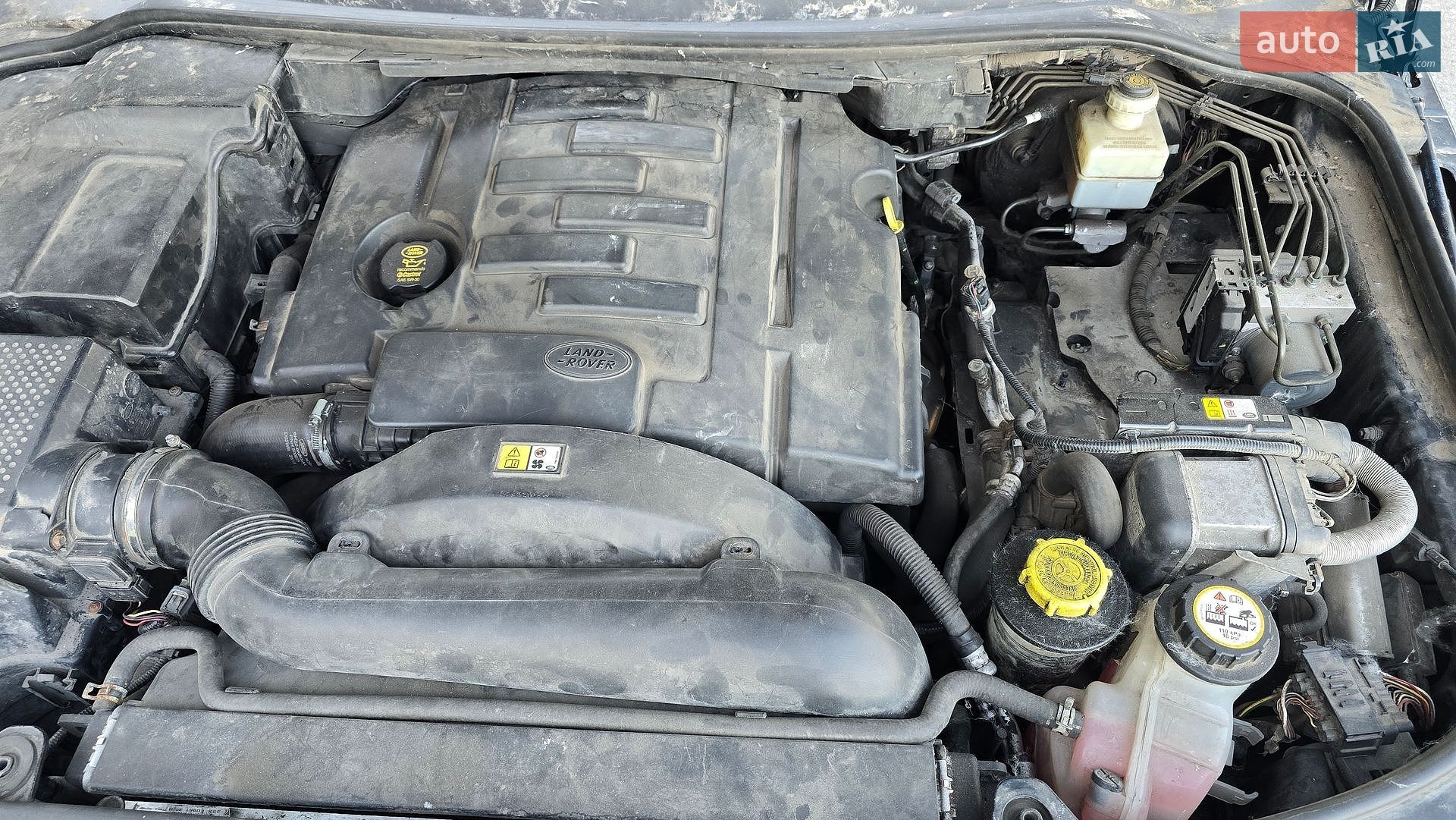 Land Rover Discovery 2008 VIN SALLAAA148A479855 фото оголошення 31 з 35
