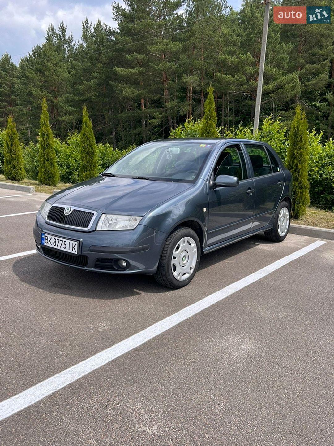 Skoda Fabia 2004 VIN TMBND26Y554269016 фото оголошення 2 з 25