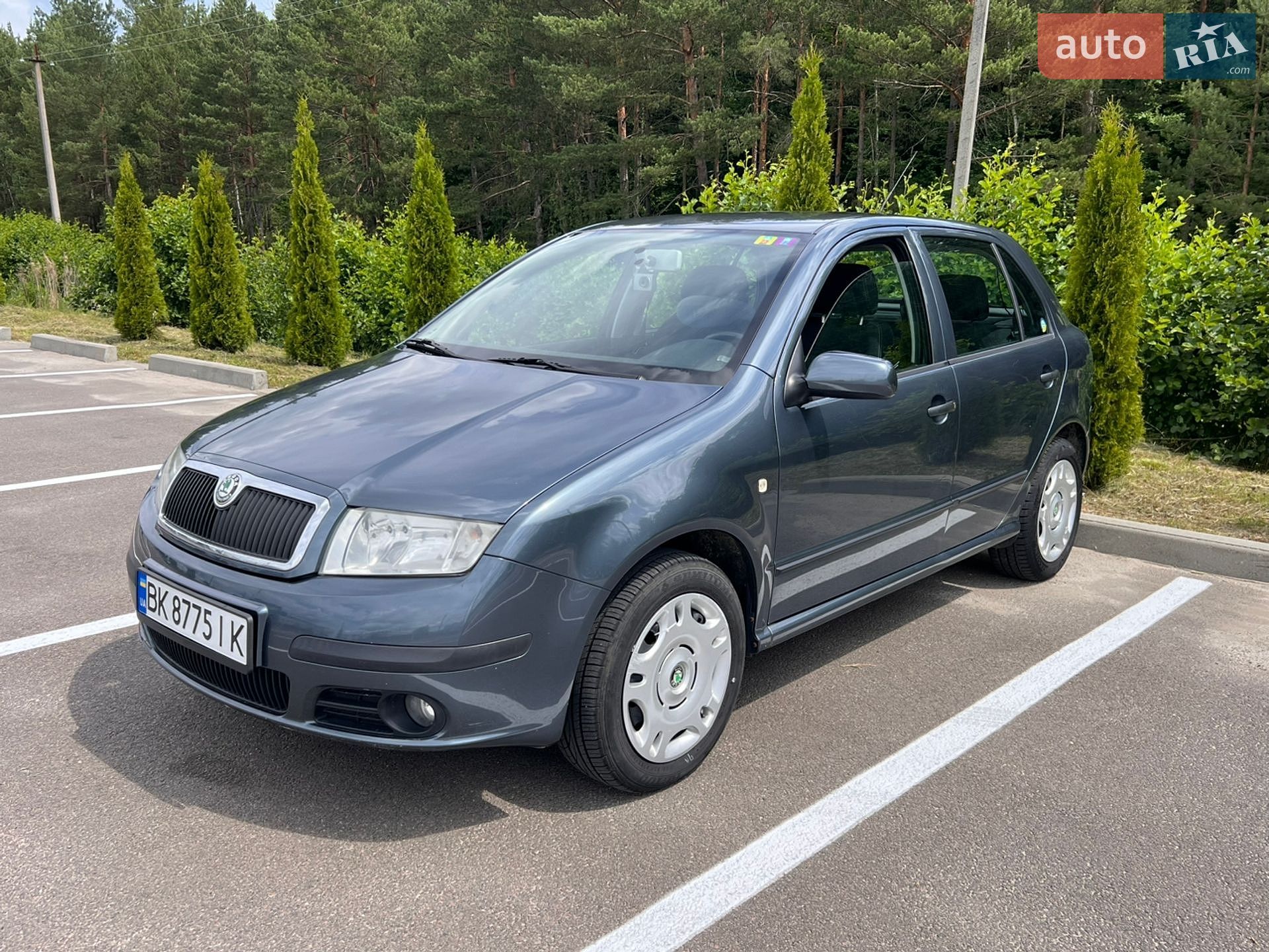 Skoda Fabia 2004 VIN TMBND26Y554269016 фото оголошення 3 з 25