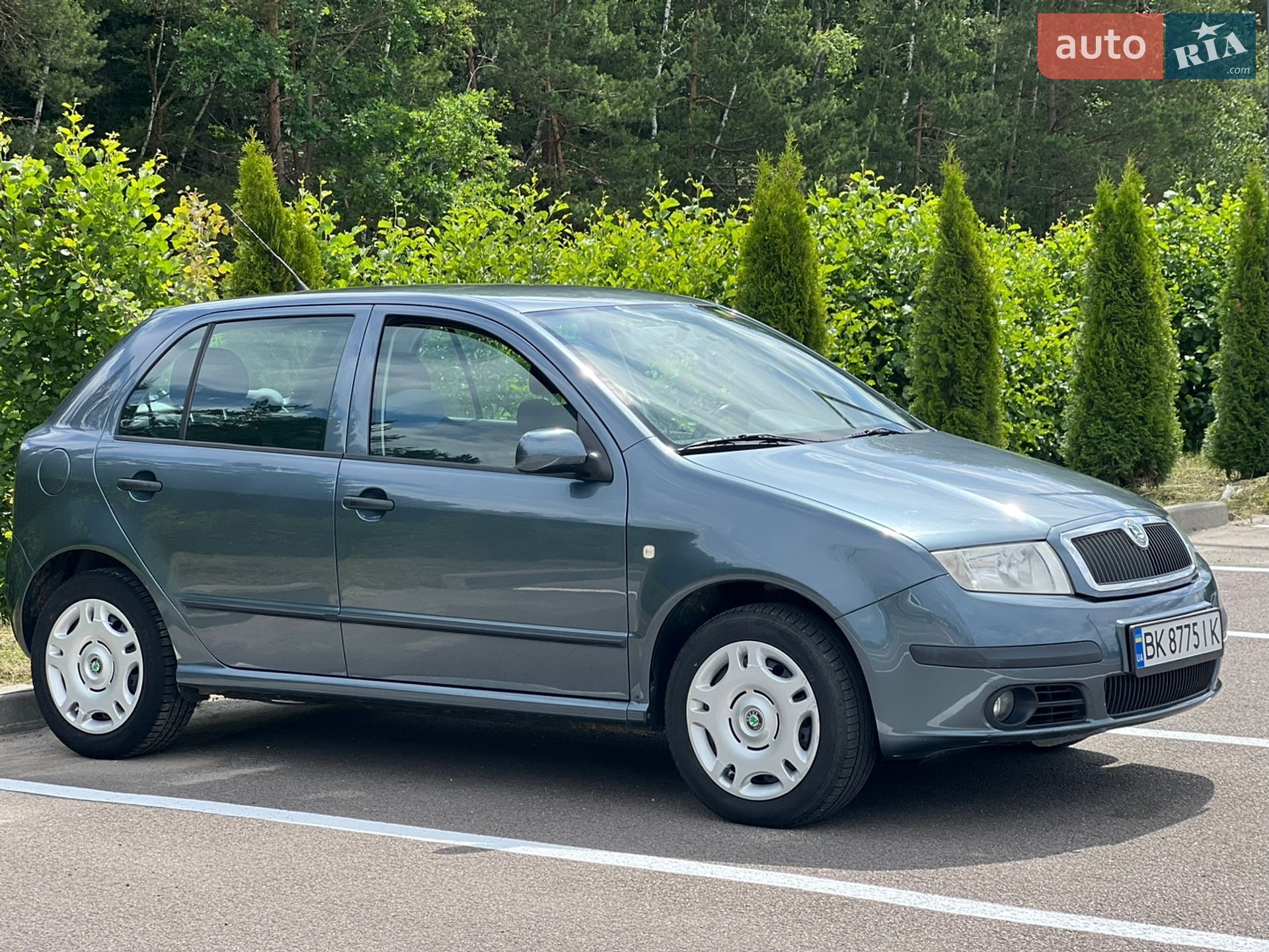 Skoda Fabia 2004 VIN TMBND26Y554269016 фото оголошення 8 з 25