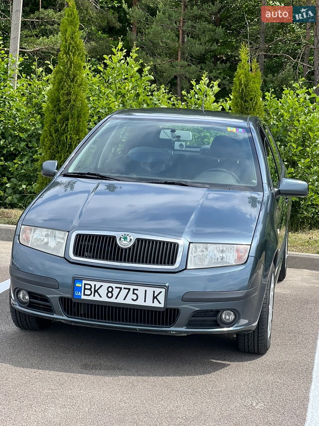 Skoda Fabia 2004 VIN TMBND26Y554269016 фото оголошення 9 з 25