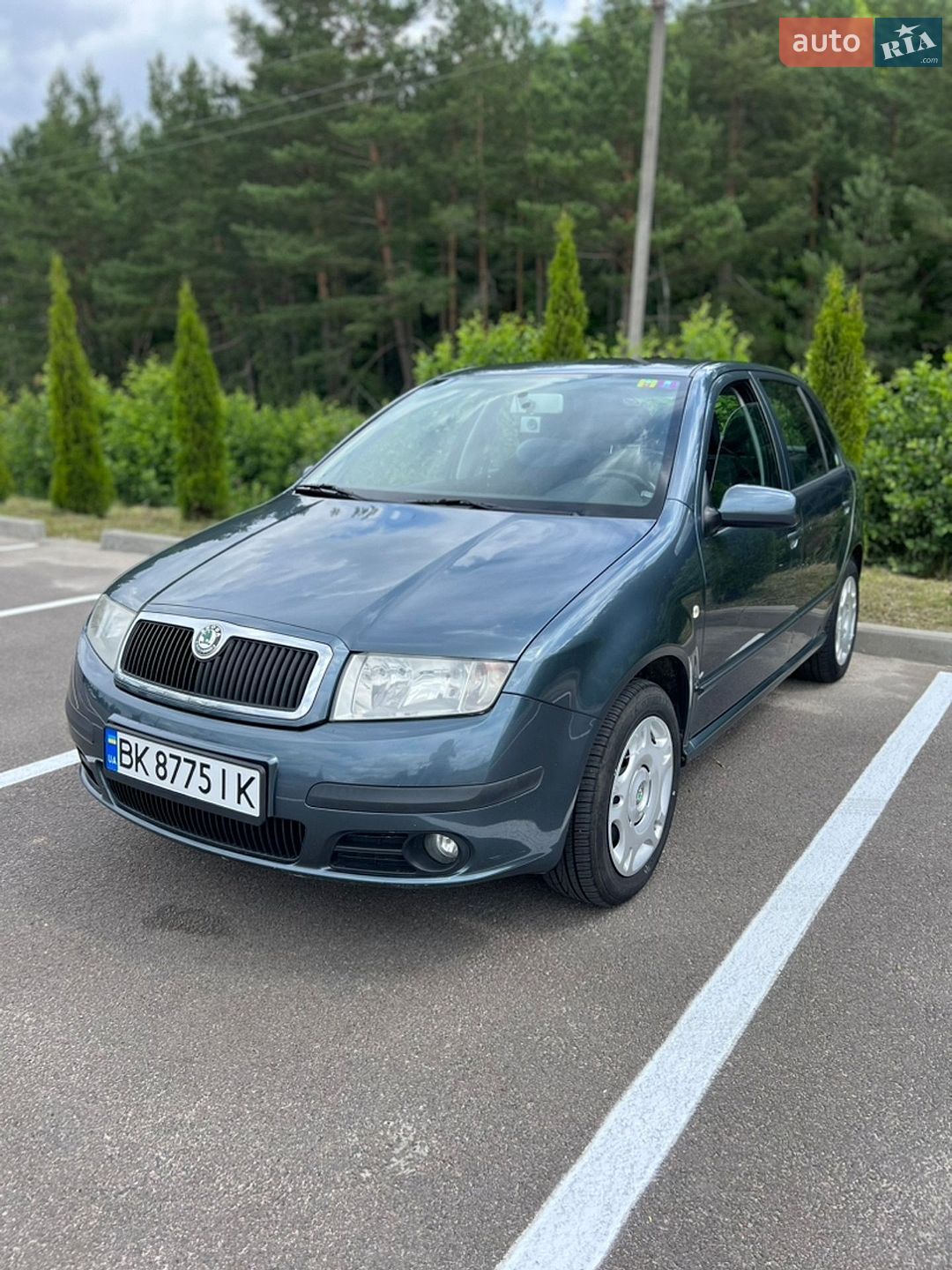 Skoda Fabia 2004 VIN TMBND26Y554269016 фото оголошення 10 з 25