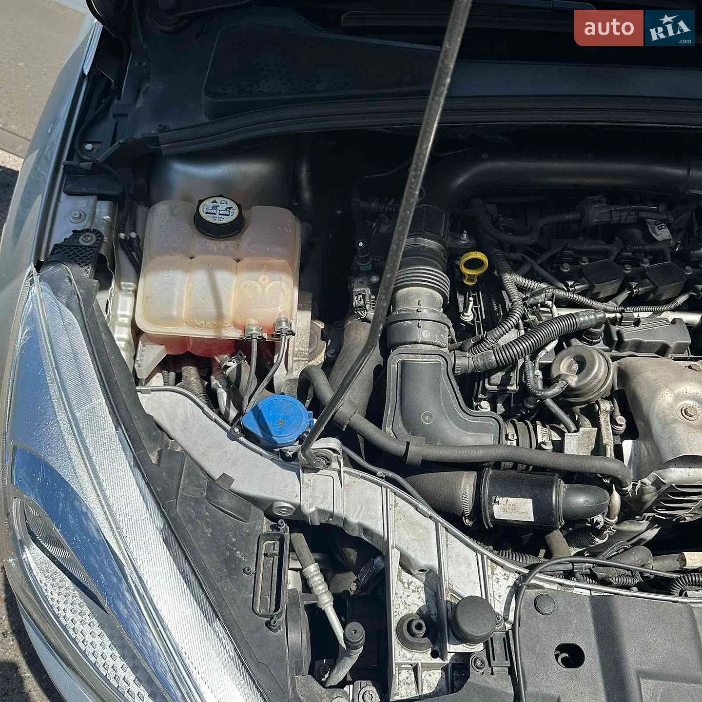 Ford Focus 2016 VIN WF06XXGCC6GD55592 фото оголошення 20 з 22