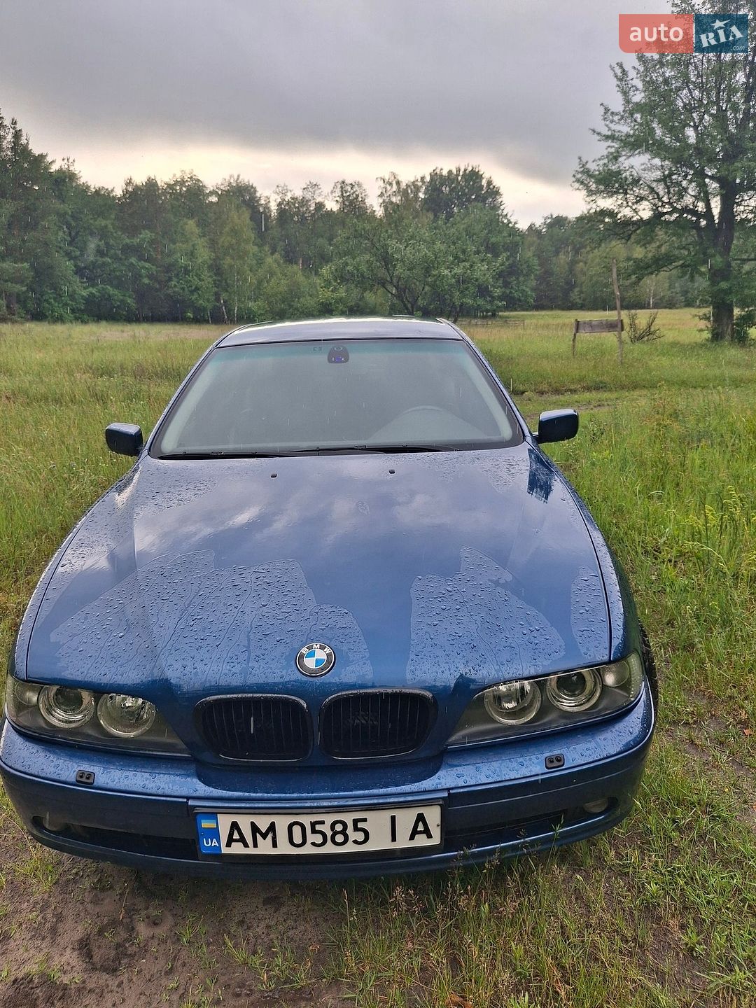 BMW 5 Series 2001 VIN WBADD51060BP20888 фото оголошення 3 з 23