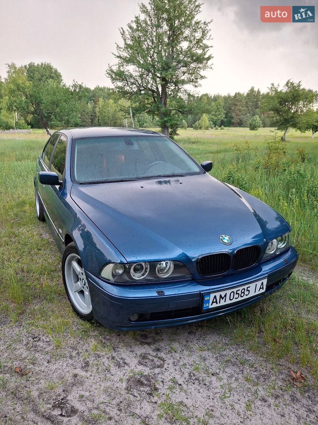 BMW 5 Series 2001 VIN WBADD51060BP20888 фото оголошення 4 з 23