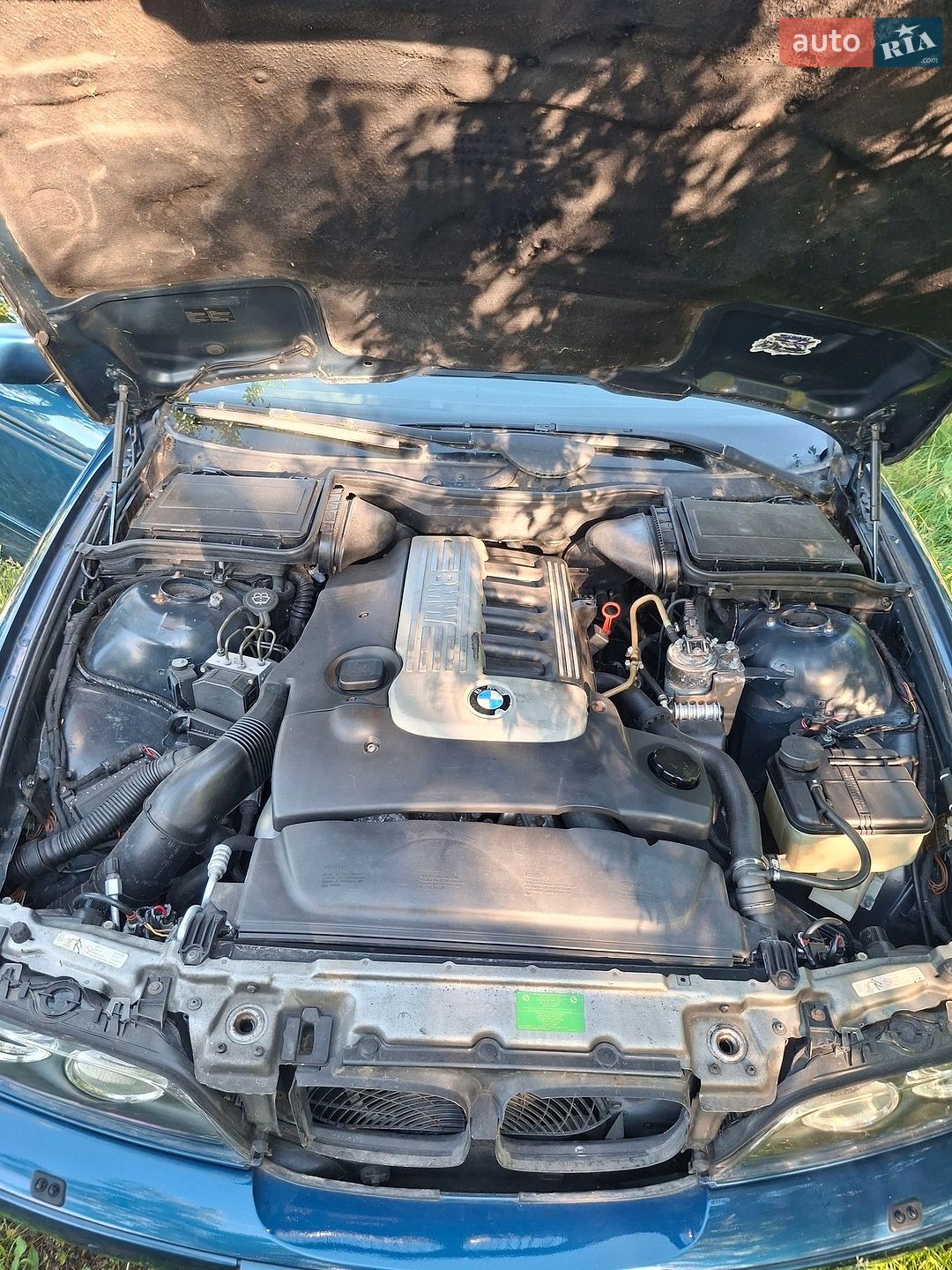 BMW 5 Series 2001 VIN WBADD51060BP20888 фото оголошення 13 з 23