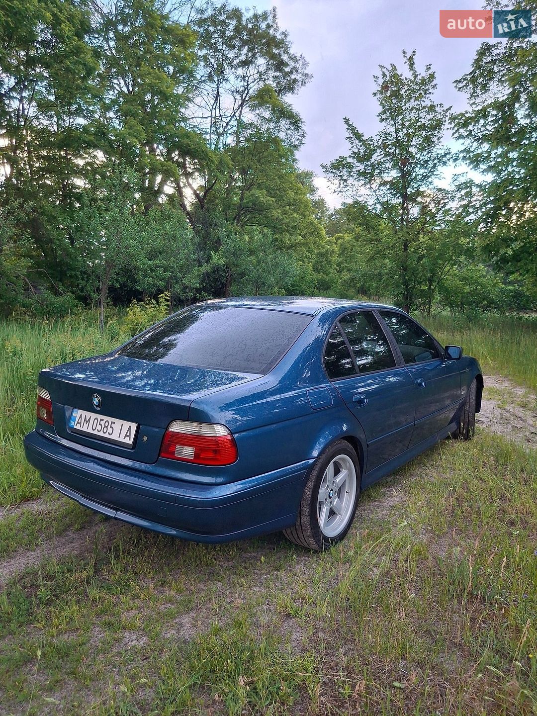 BMW 5 Series 2001 VIN WBADD51060BP20888 фото оголошення 17 з 23