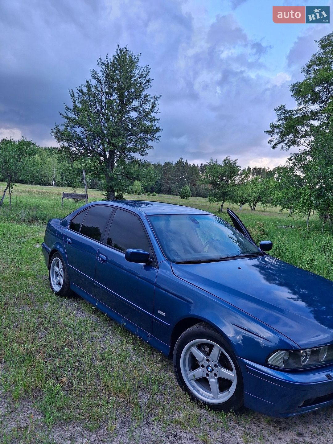 BMW 5 Series 2001 VIN WBADD51060BP20888 фото оголошення 18 з 23
