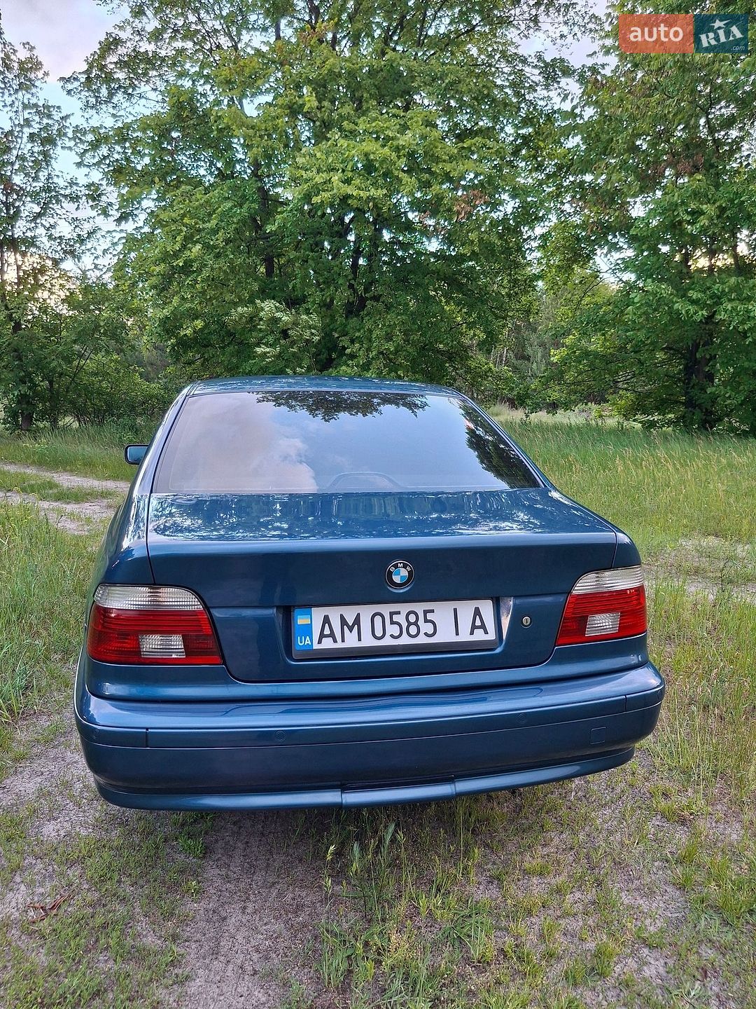BMW 5 Series 2001 VIN WBADD51060BP20888 фото оголошення 19 з 23