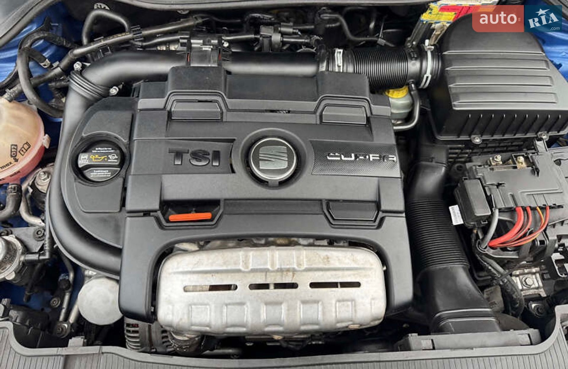 SEAT Ibiza 2009 VIN VSSZZZ6JZAR080573 фото оголошення 7 з 7