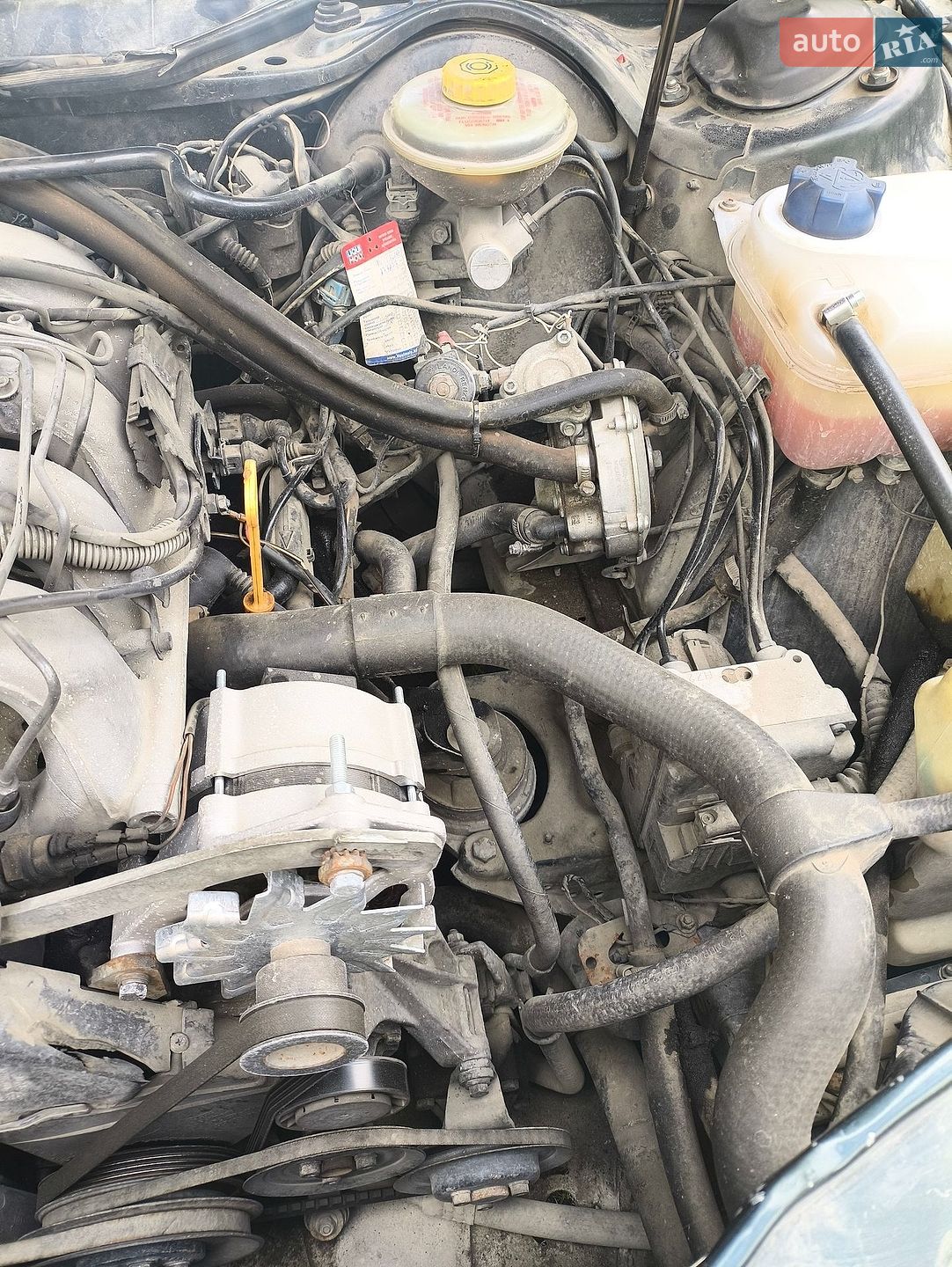 Audi A6 1995 VIN WAUZZZ4AZSN051441 фото оголошення 17 з 18
