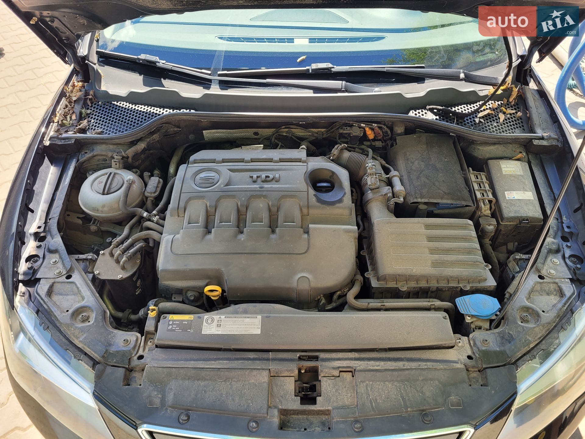 SEAT Leon 2014 VIN VSSZZZ5FZER111491 фото оголошення 18 з 26