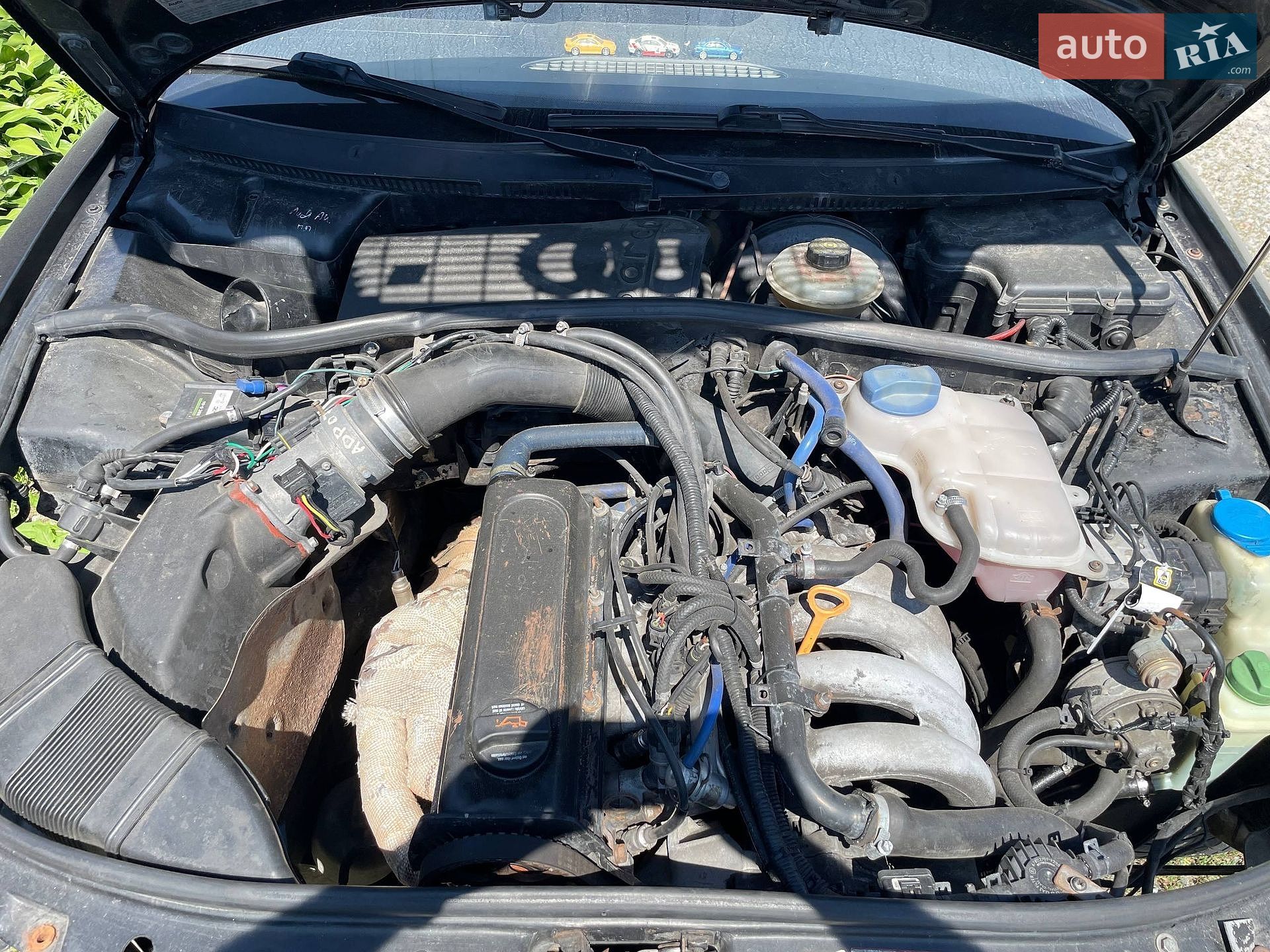 Audi A4 1996 VIN WAUZZZ8DZVA060565 фото оголошення 10 з 10