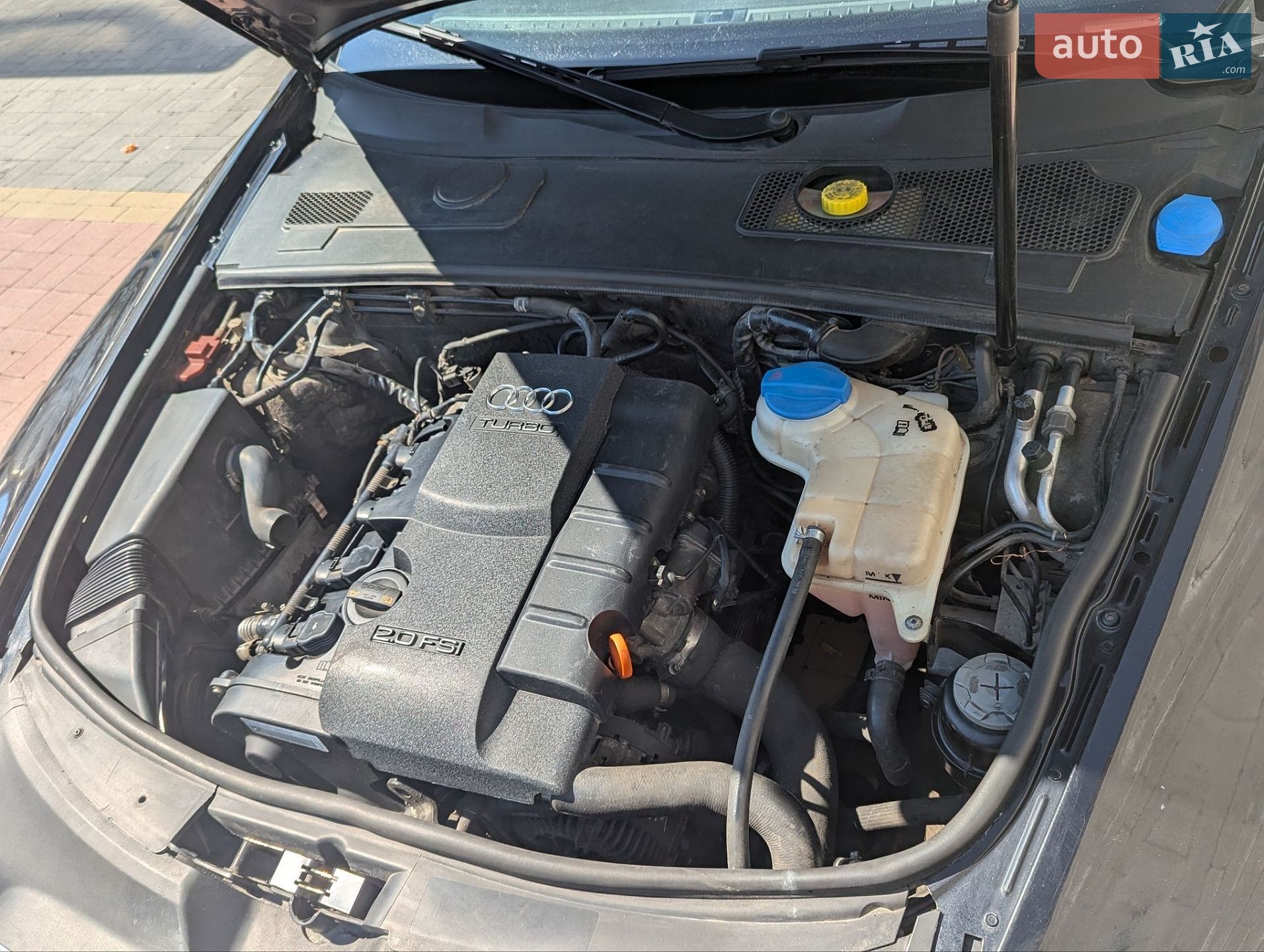 Audi A6 2006 VIN WAUZZZ4F67N023745 фото оголошення 8 з 16