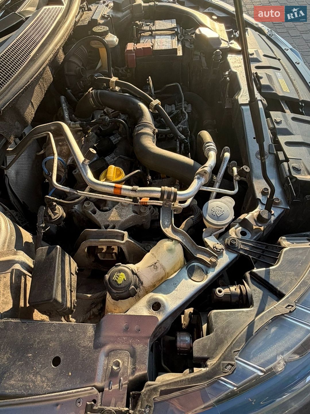 Nissan Qashqai 2020 VIN SJNFEAJ11U2864988 фото оголошення 24 з 25