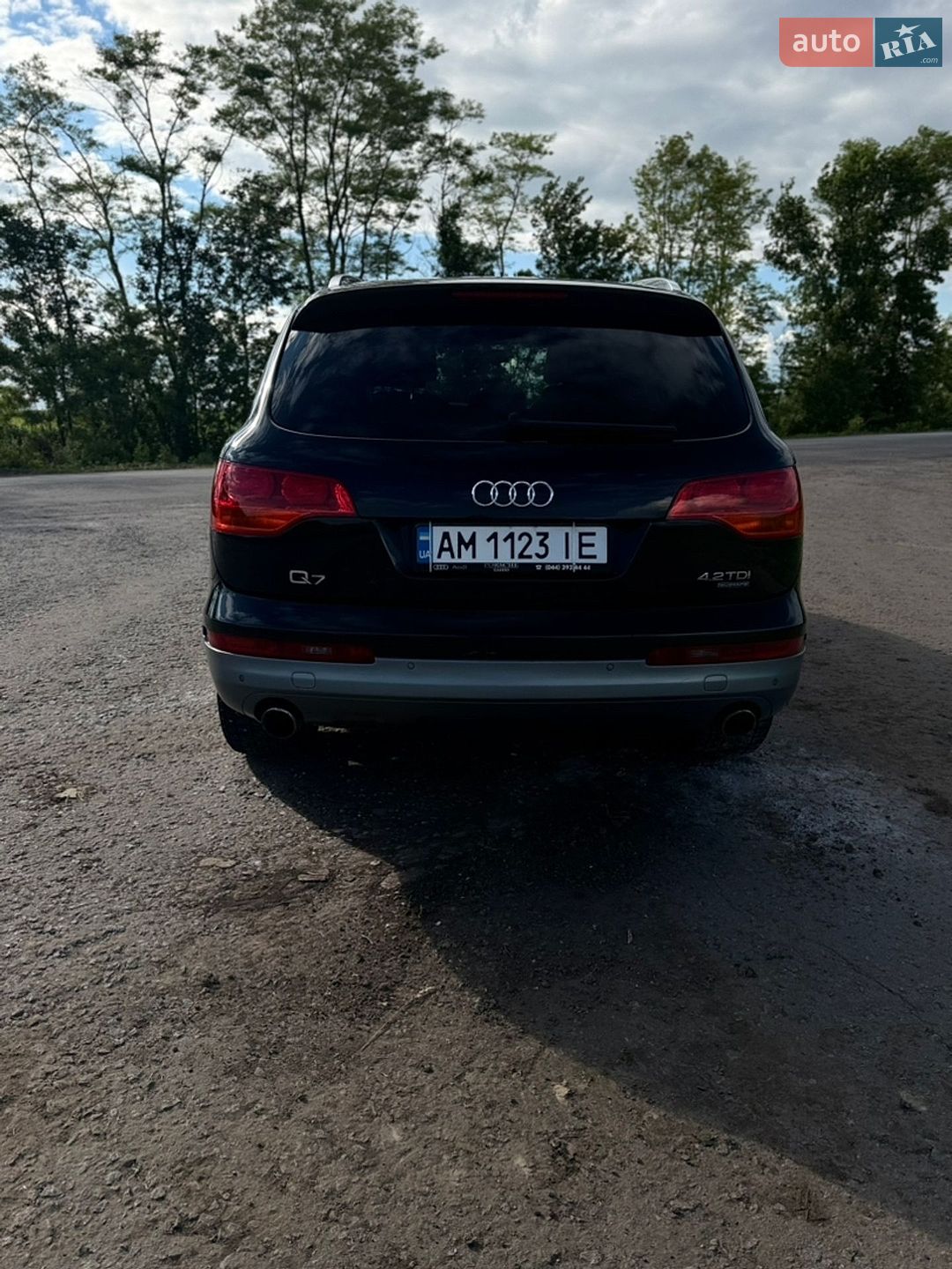 Audi Q7 2009 VIN WAUZZZ4L19D029953 фото оголошення 3 з 14