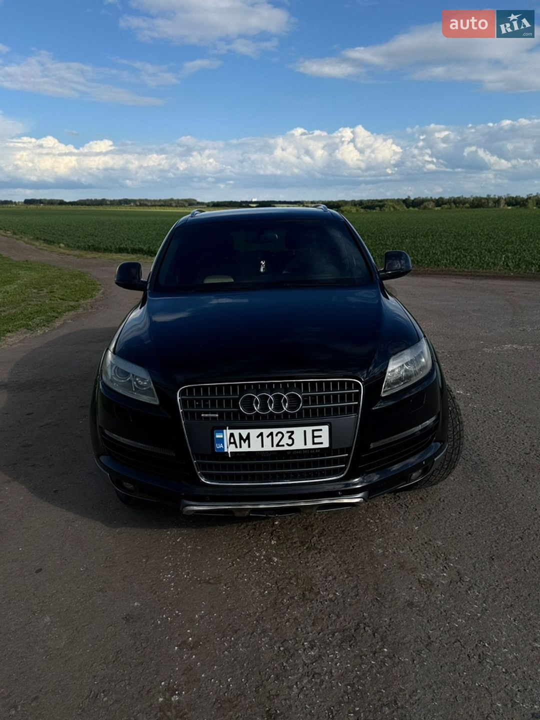 Audi Q7 2009 VIN WAUZZZ4L19D029953 фото оголошення 10 з 14
