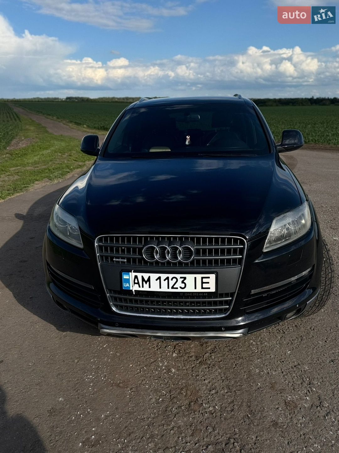 Audi Q7 2009 VIN WAUZZZ4L19D029953 фото оголошення 9 з 14