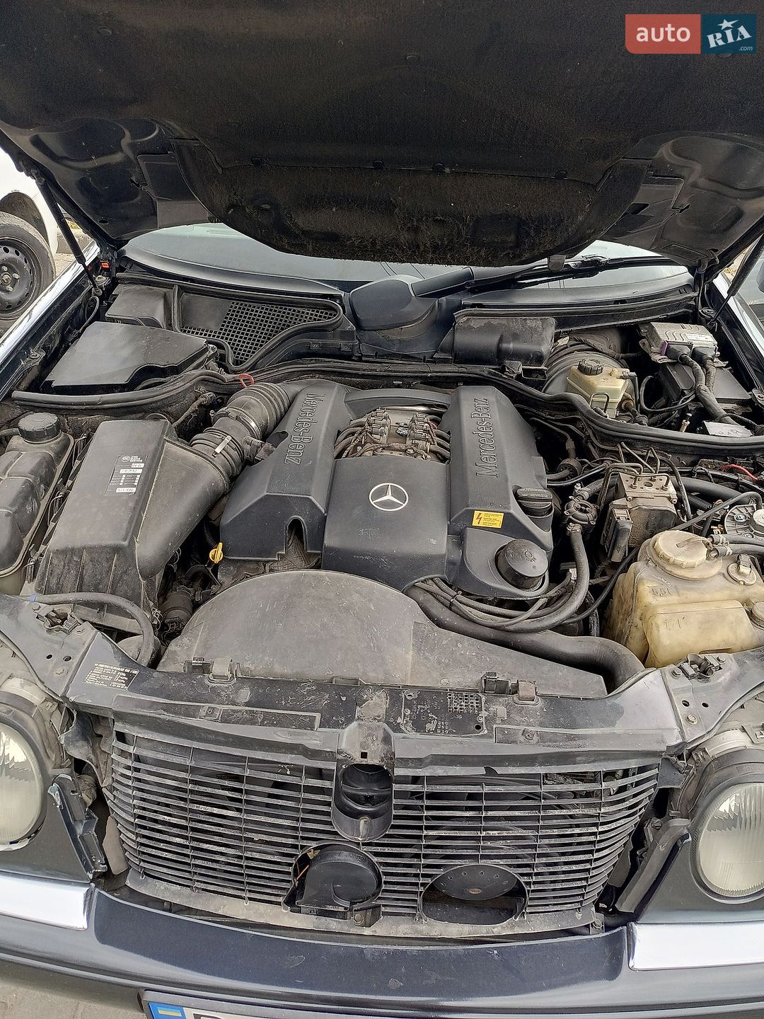 Mercedes-Benz E-Class 1997 VIN WDB2100651A448129 фото оголошення 11 з 11