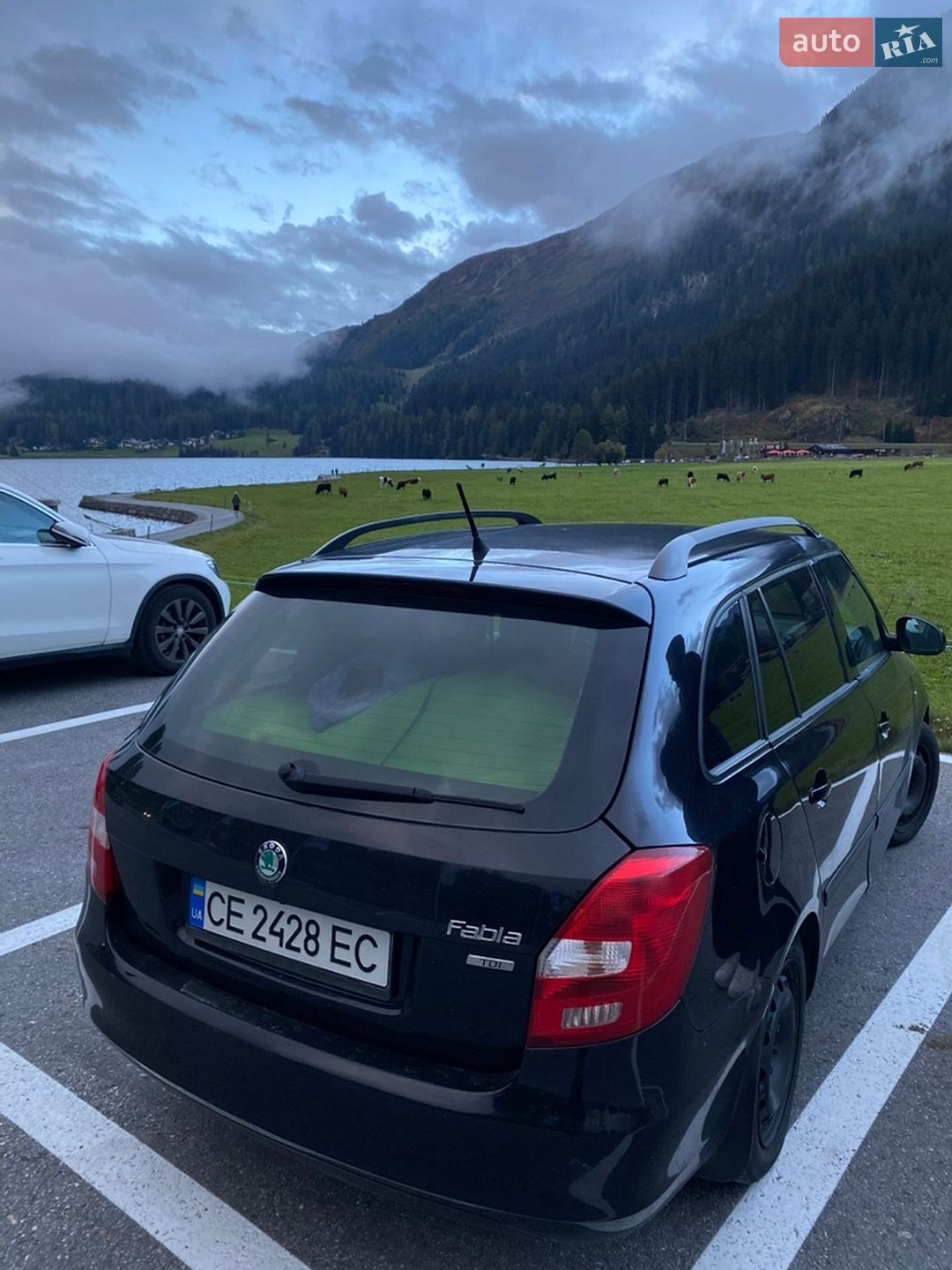 Skoda Fabia 2012 VIN TMBJS65JXC3130714 фото оголошення 8 з 32