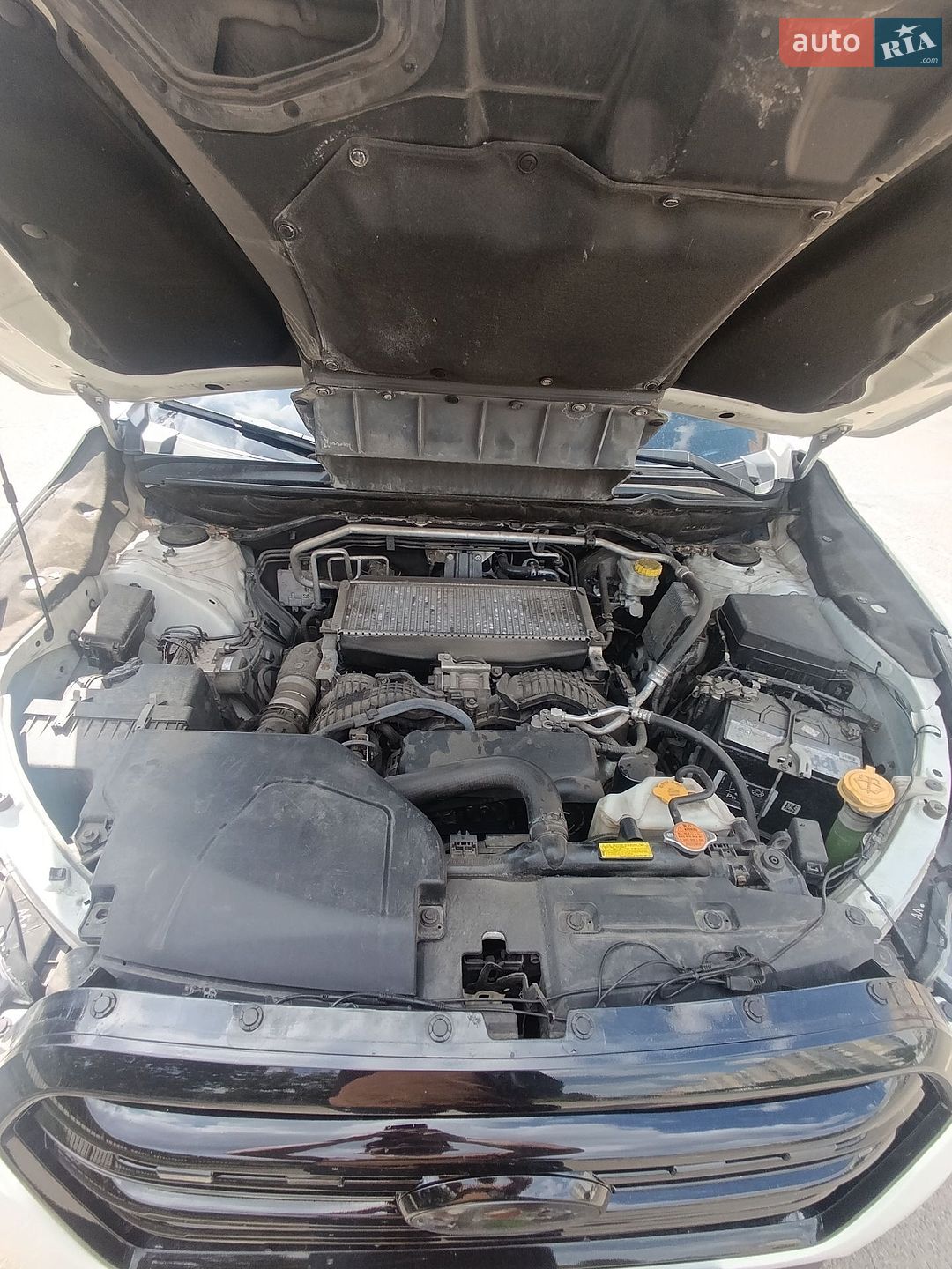 Subaru Ascent 2019 VIN 4S4WMACD5K3460822 фото оголошення 12 з 12