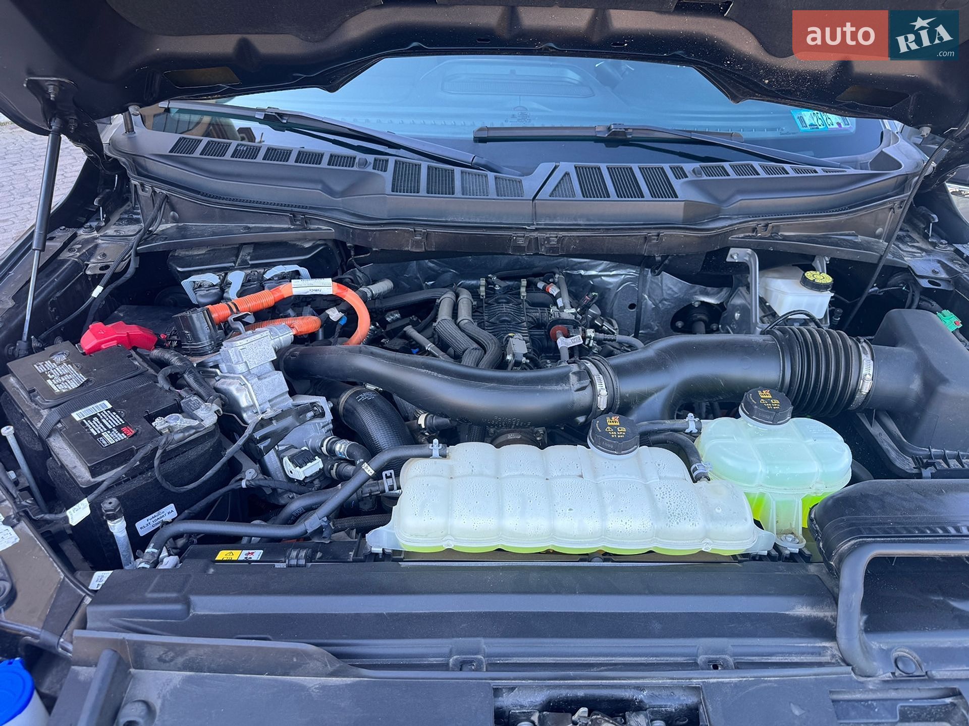 Ford F-150 2024 VIN 1FTFW3LD1RFC06639 фото оголошення 22 з 27