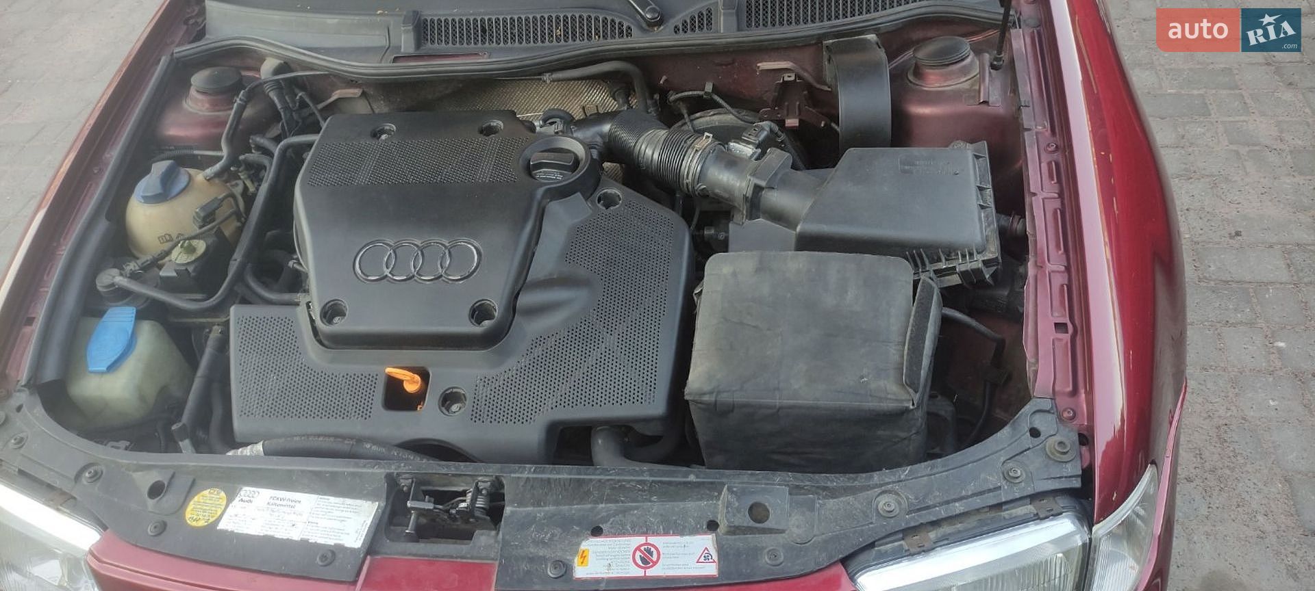 Audi A3 1999 VIN WAUZZZ8LZXA122239 фото оголошення 5 з 18