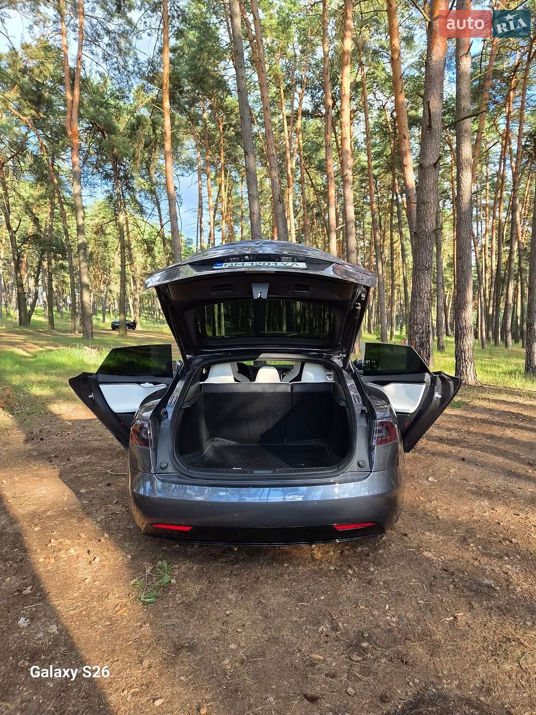 Tesla Model S 2019 VIN 5YJSA1E21KF306103 фото оголошення 18 з 25