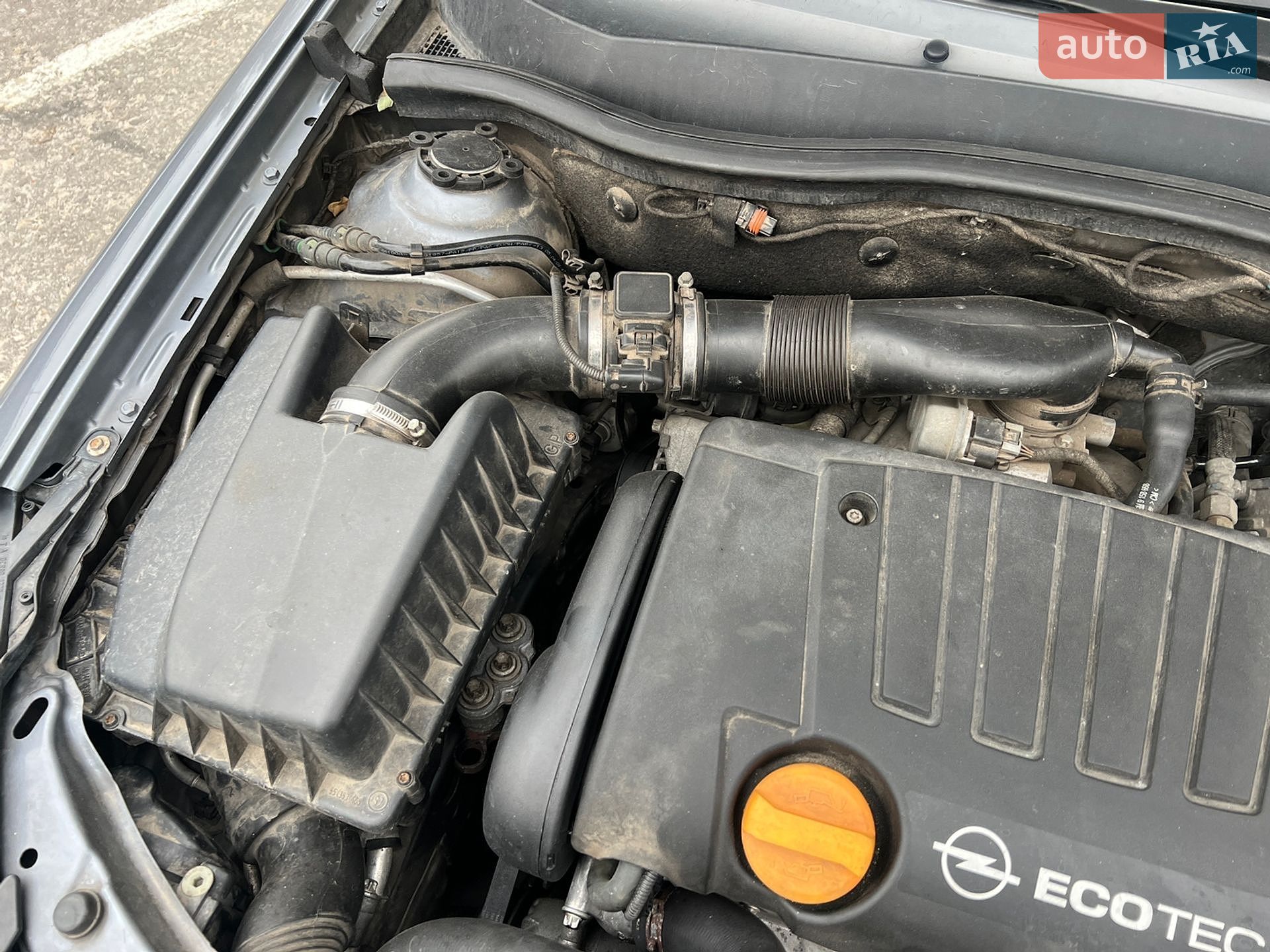 Opel Astra 2004 VIN W0L0AHL4845207718 фото оголошення 28 з 30