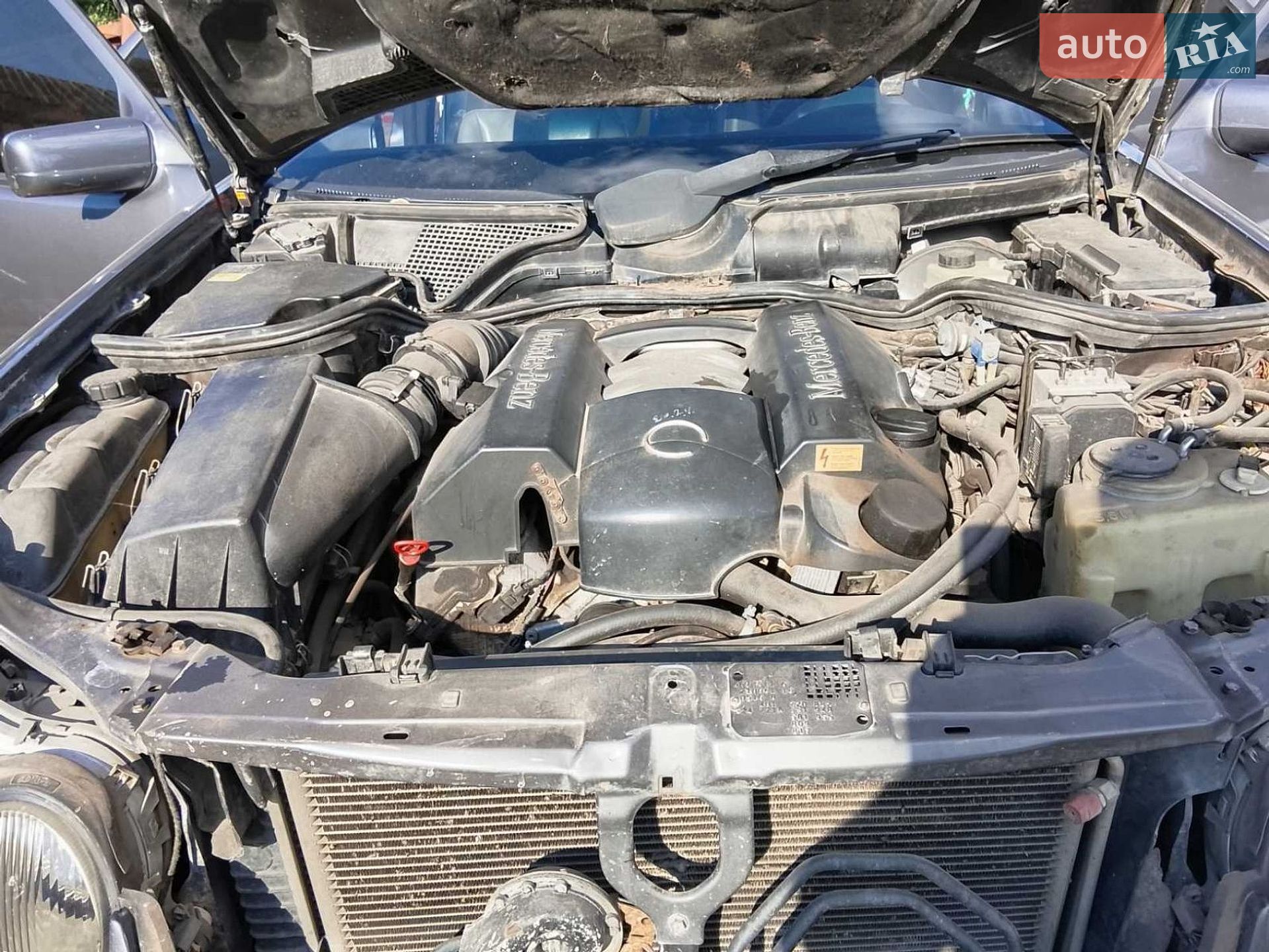 Mercedes-Benz E-Class 1998 VIN WDB2100611A779058 фото оголошення 5 з 10