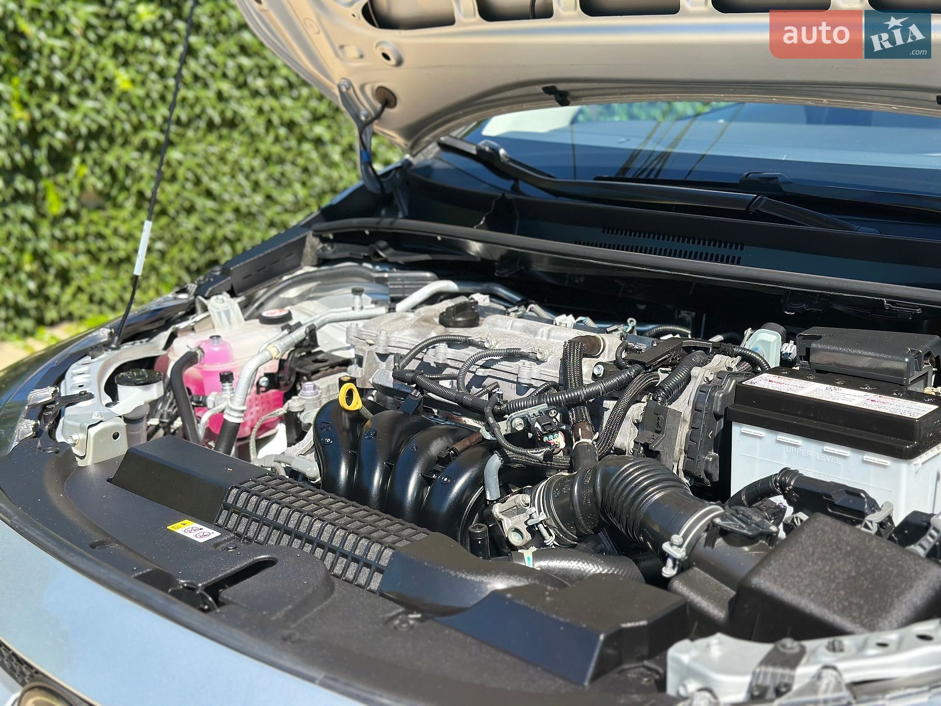 Toyota Corolla 2021 VIN 5YFEPMAE1MP213473 фото оголошення 50 з 61