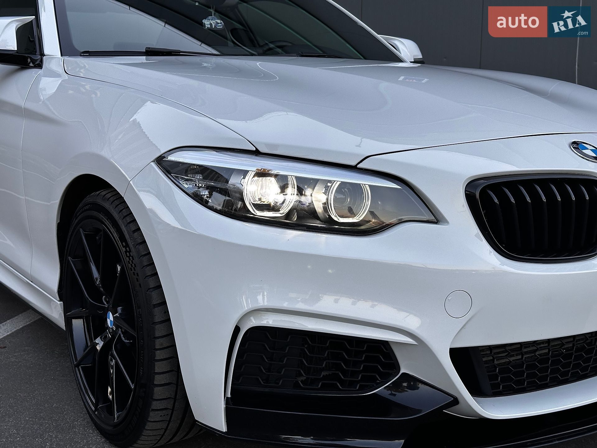 BMW 2 Series 2016 VIN WBA1F9C5XGV546586 фото оголошення 34 з 60