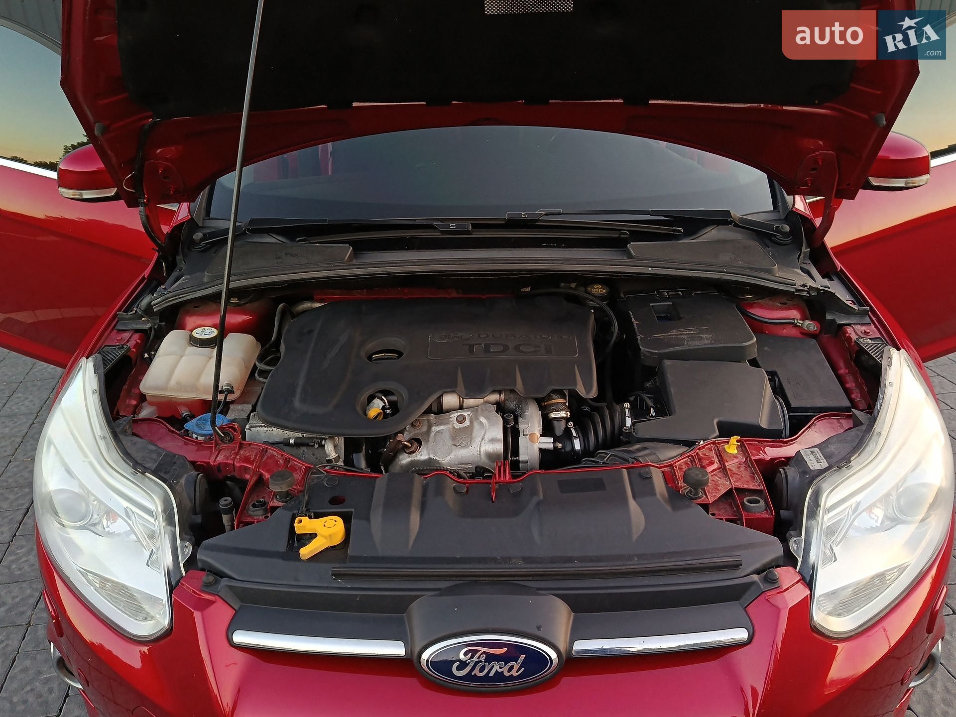 Ford Focus 2013 VIN WF0LXXGCBLDJ59707 фото оголошення 56 з 57