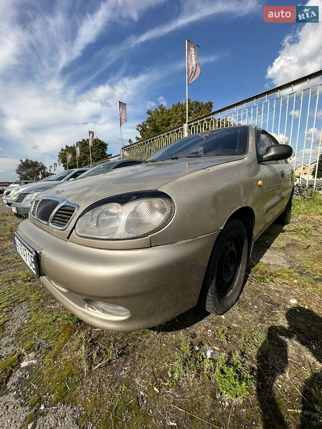 Daewoo Lanos 2008 VIN Y6DTF69YD8W391319 фото оголошення 9 з 102