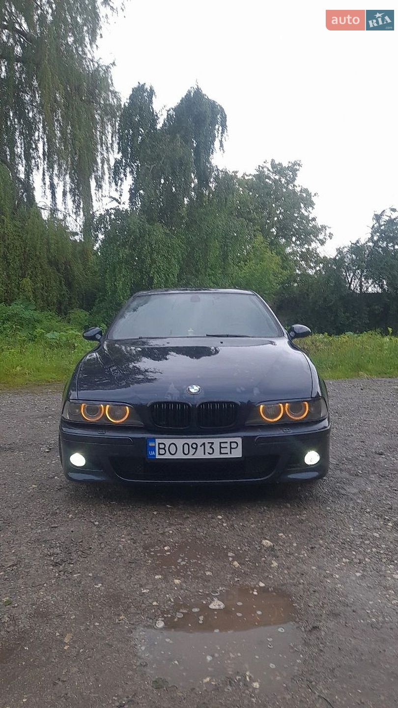 BMW 5 Series 2002 VIN WBADL01020GY08846 фото оголошення 7 з 15