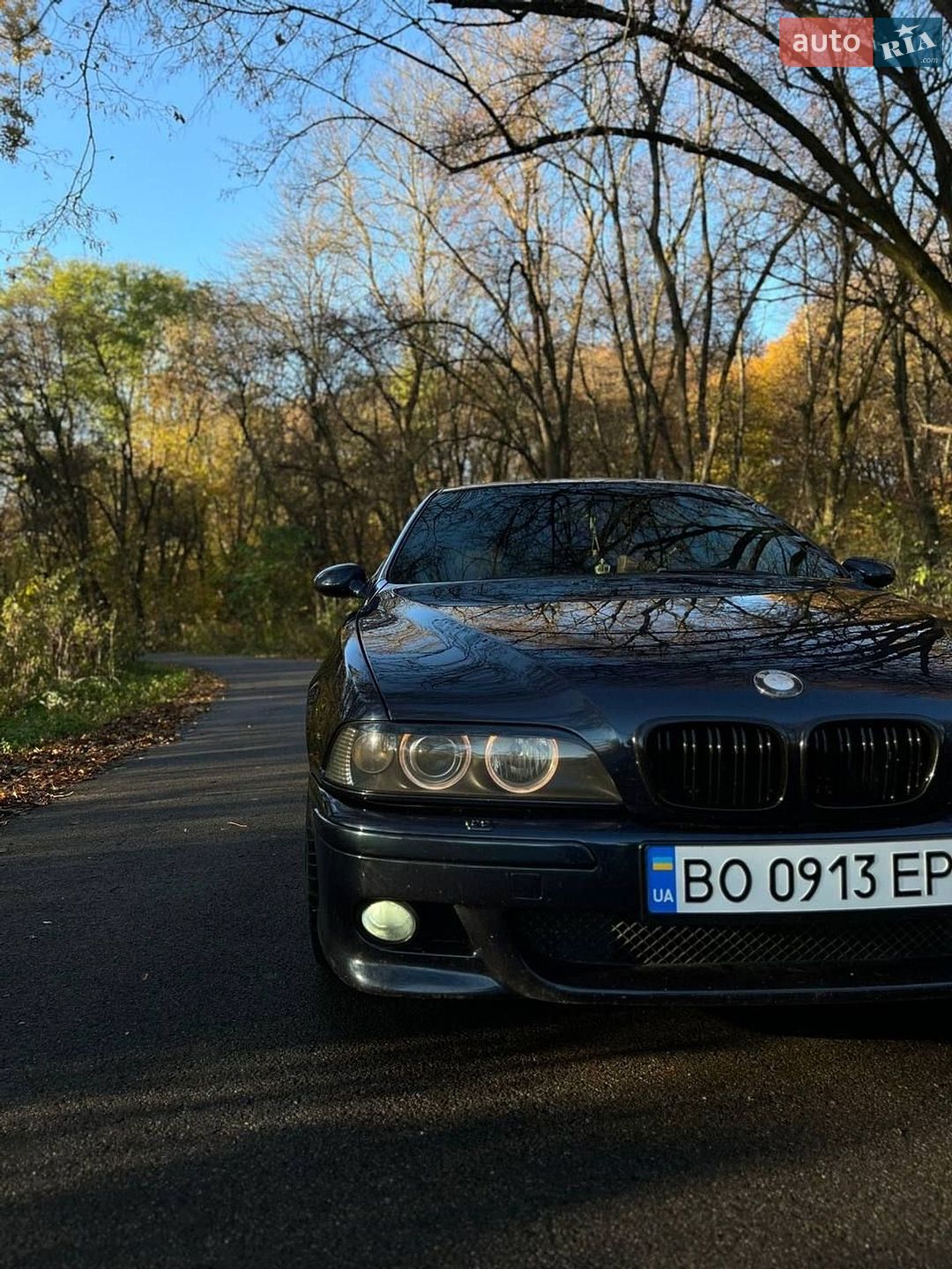 BMW 5 Series 2002 VIN WBADL01020GY08846 фото оголошення 6 з 15