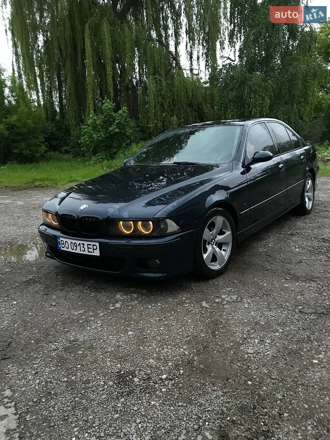 BMW 5 Series 2002 VIN WBADL01020GY08846 фото оголошення 8 з 15