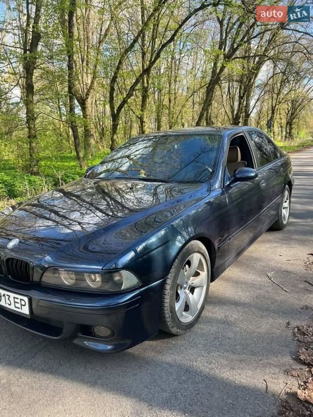 BMW 5 Series 2002 VIN WBADL01020GY08846 фото оголошення 12 з 15
