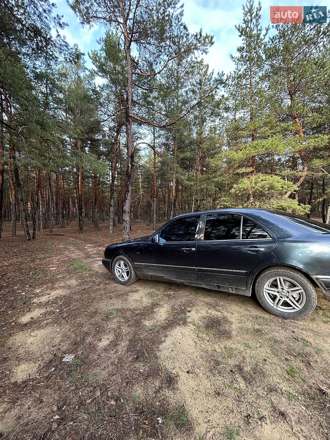 Mercedes-Benz E-Class 1996 VIN WDB2100551A330728 фото оголошення 6 з 10