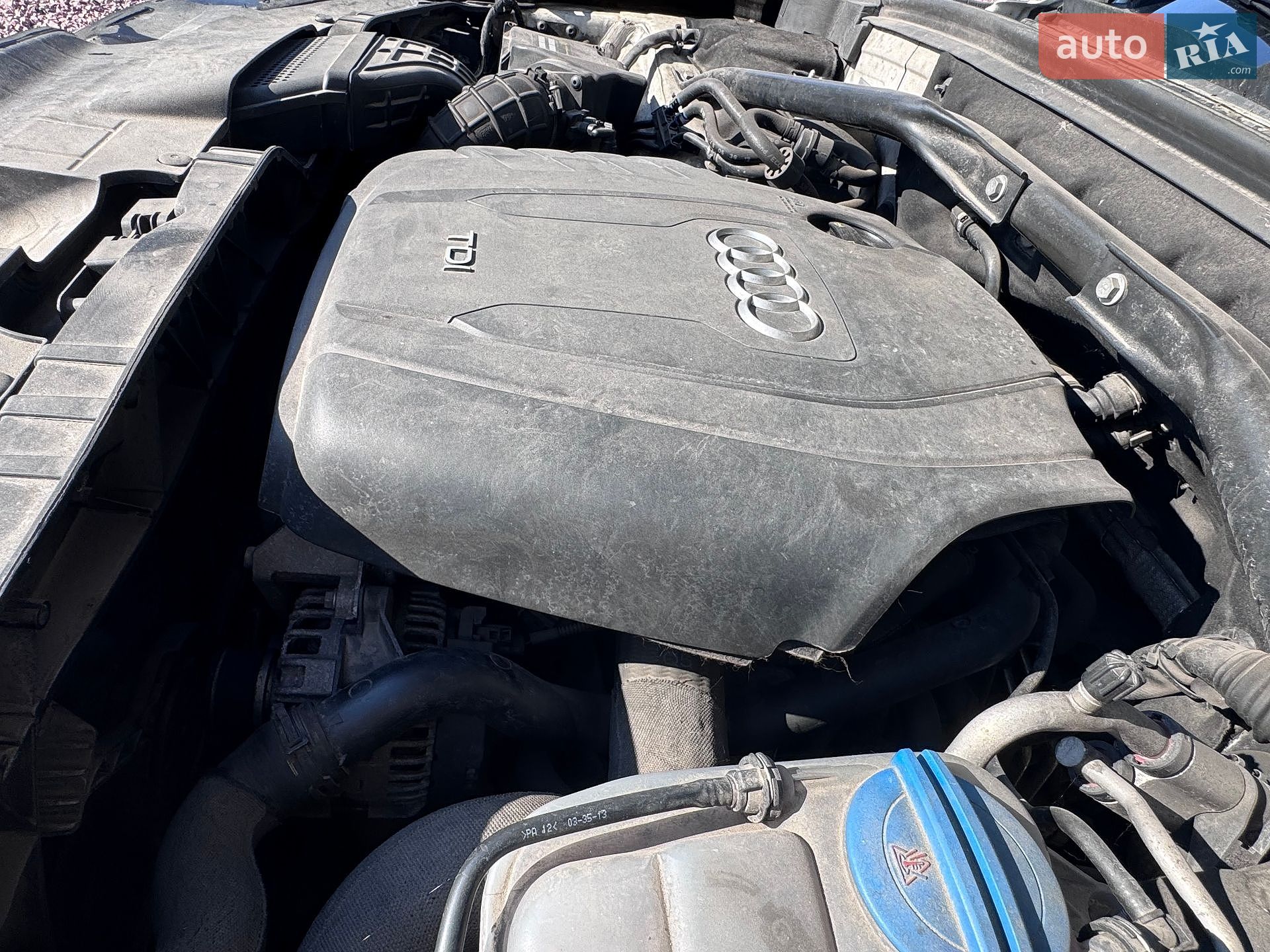 Audi Q5 2013 VIN WAUZZZ8R6EA059301 фото оголошення 34 з 41