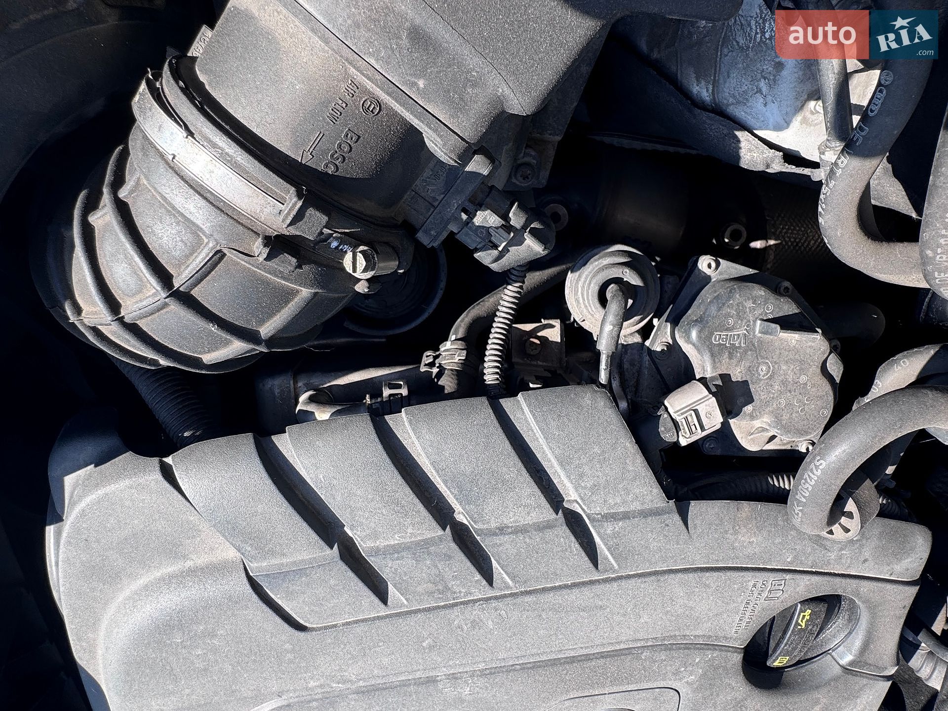 Audi Q5 2013 VIN WAUZZZ8R6EA059301 фото оголошення 35 з 41