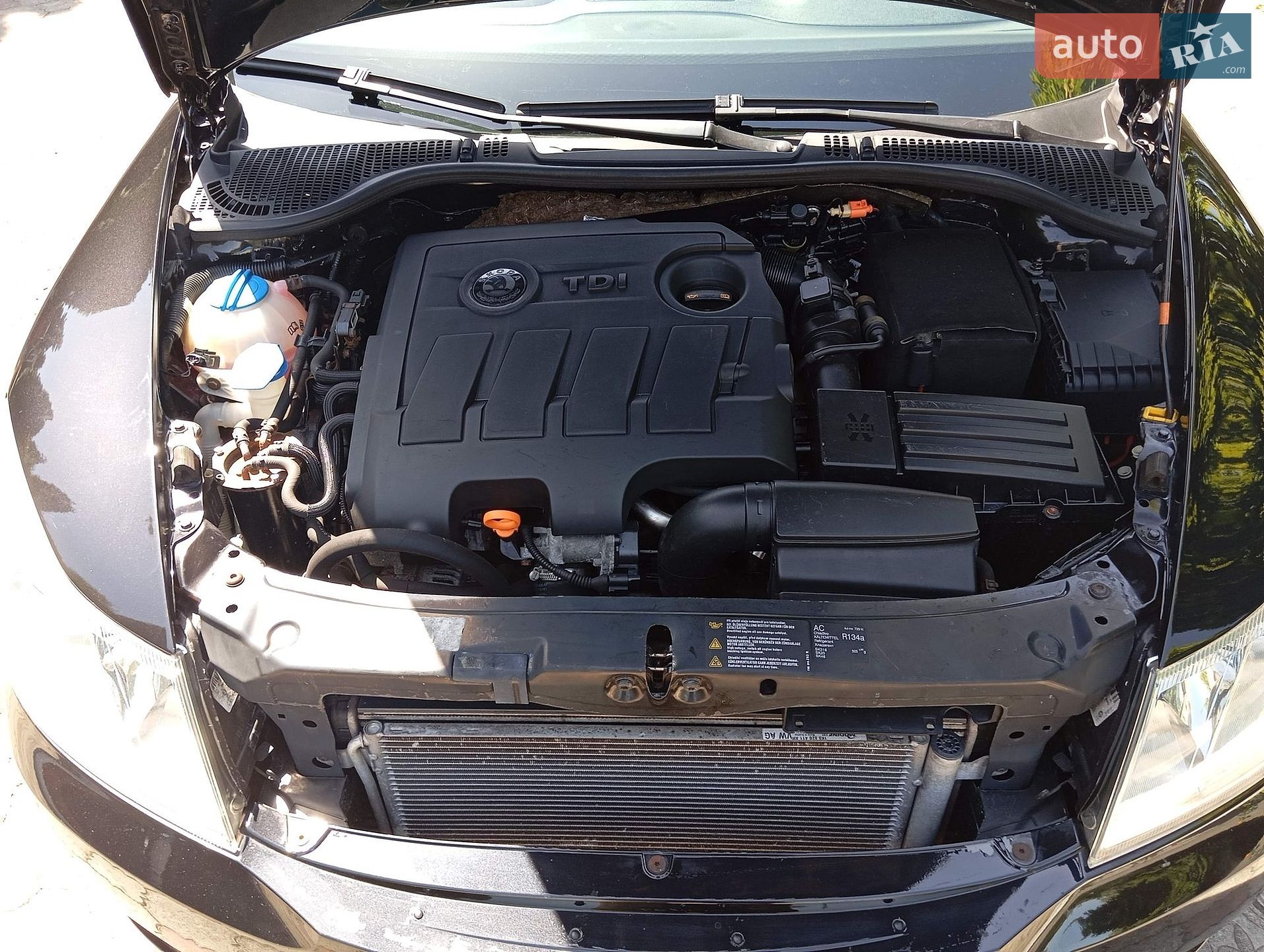 Skoda Octavia 2010 VIN TMBHT61Z9B2037937 фото оголошення 20 з 24