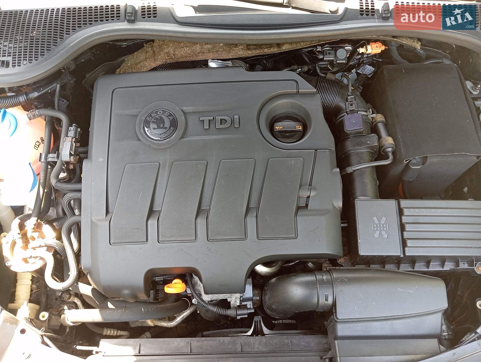 Skoda Octavia 2010 VIN TMBHT61Z9B2037937 фото оголошення 21 з 24