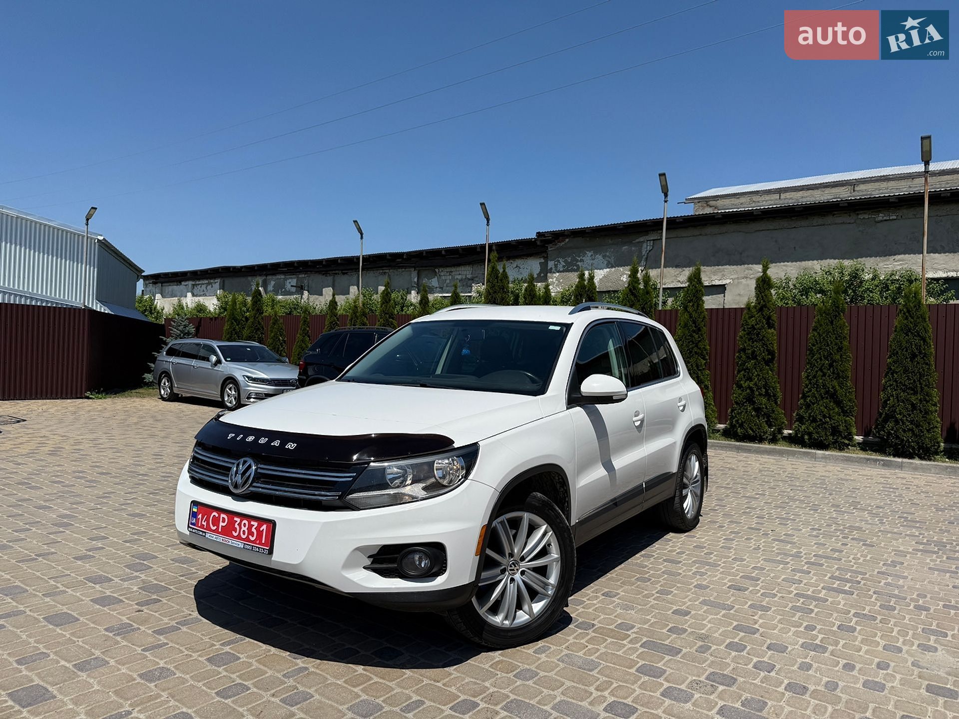 Volkswagen Tiguan 2013 VIN WVGBV3AX5DW609350 фото оголошення 3 з 104