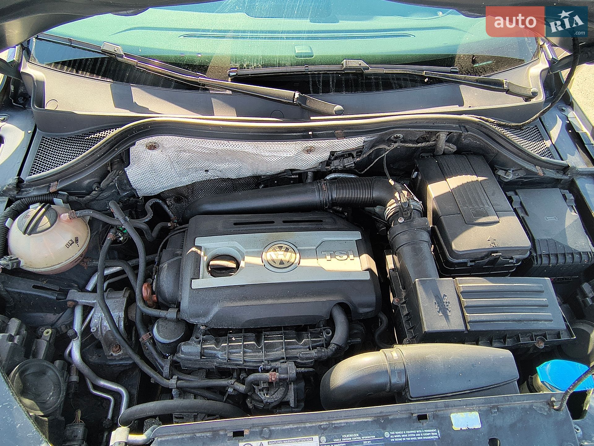 Volkswagen Tiguan 2010 VIN WVGBV7AX7BW515054 фото оголошення 11 з 22