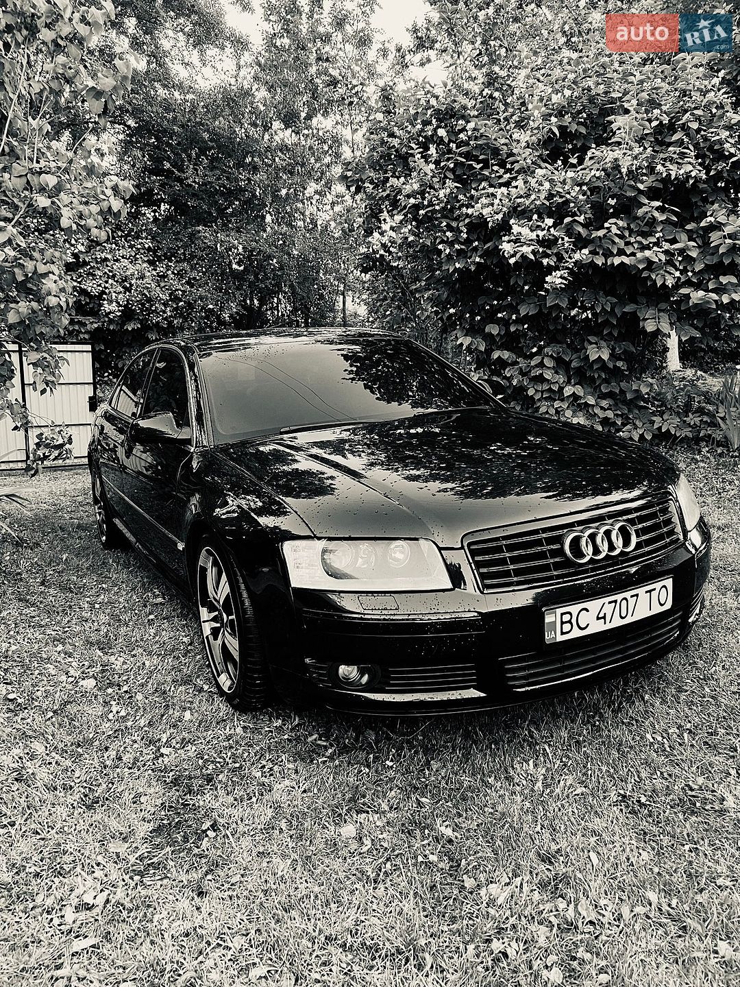 Audi A8 2004 VIN WAUZZZ4E64N024249 фото оголошення 25 з 58