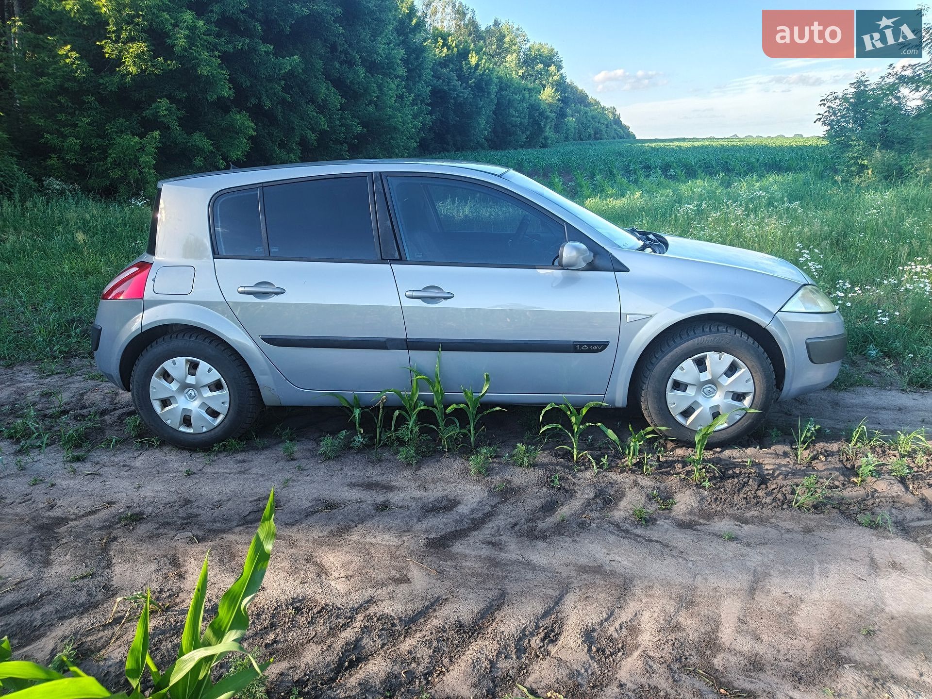 Renault Megane 2004 VIN VF1BM0J0H31500910 фото оголошення 13 з 18