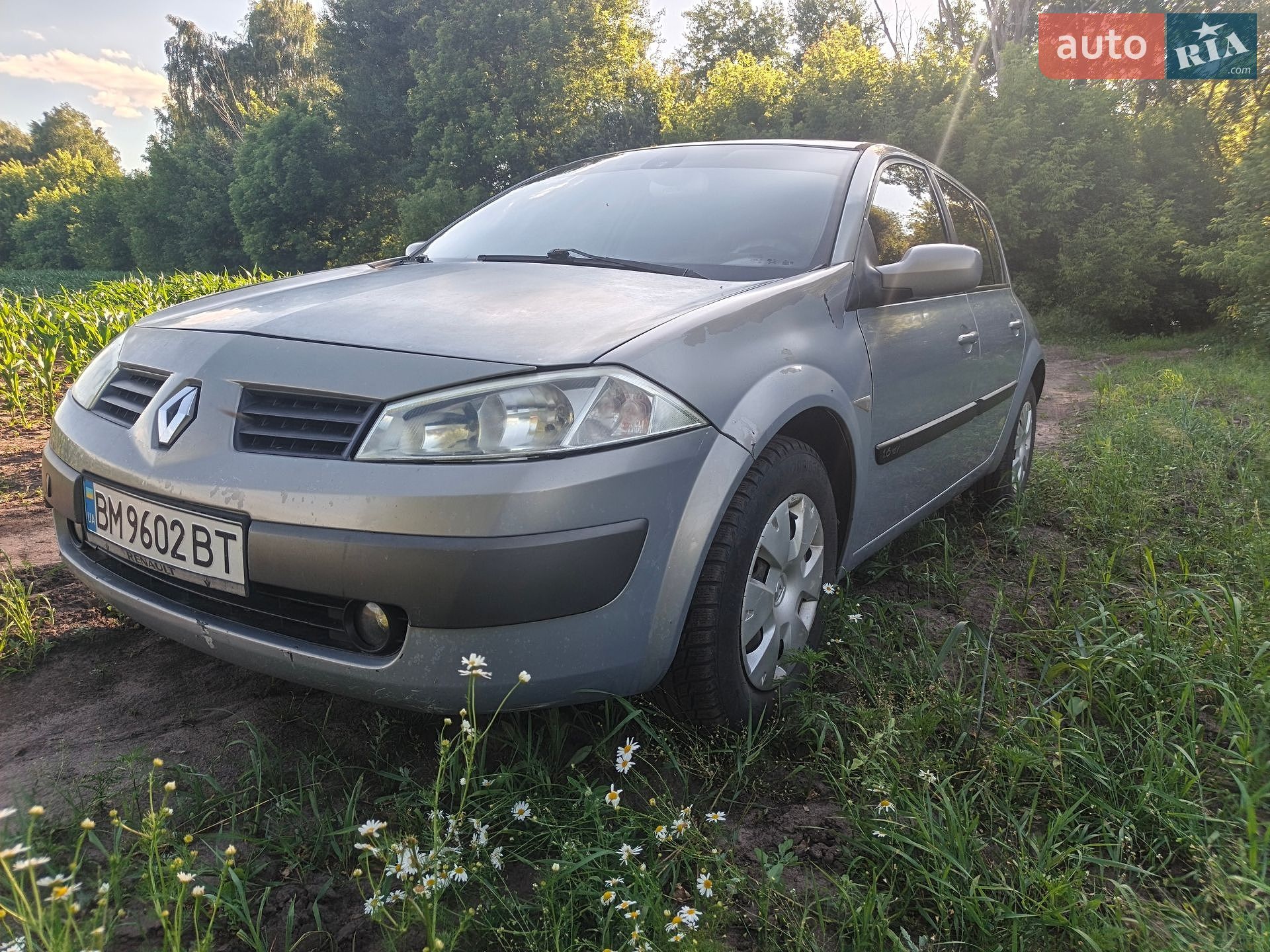 Renault Megane 2004 VIN VF1BM0J0H31500910 фото оголошення 17 з 18
