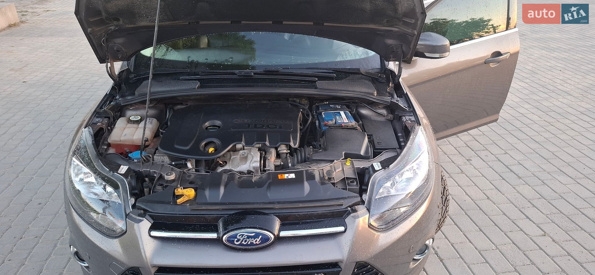 Ford Focus 2013 VIN WF0LXXGCBLDM13950 фото оголошення 9 з 11